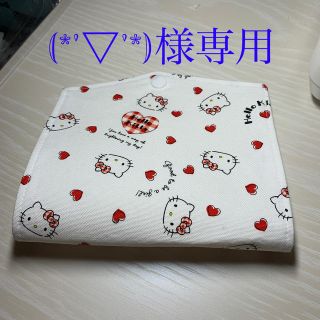 専用出品　立体マスクサイズケース(その他)