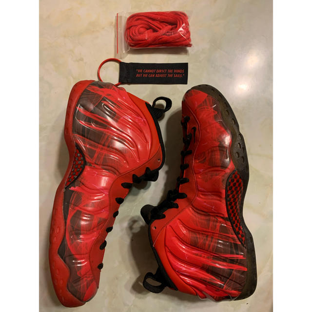 NIKE(ナイキ)のAIR FOAMPOSITE ONE PRM DB   US11 メンズの靴/シューズ(スニーカー)の商品写真