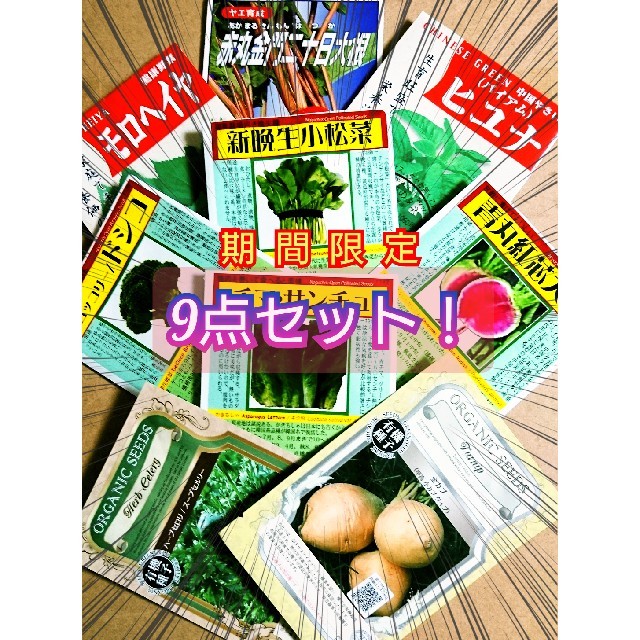 お得な9点セット‼️ 野菜の種 ハーブの種 有機種子 固定種 家庭菜園 水耕栽培 食品/飲料/酒の食品(野菜)の商品写真