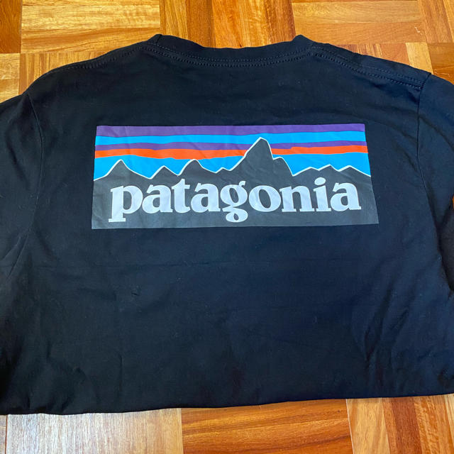 patagonia(パタゴニア)のパタゴニアロンt レディースのトップス(Tシャツ(長袖/七分))の商品写真