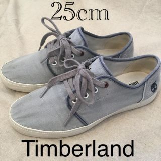 ティンバーランド(Timberland)のティンバーランド　グレー色　スニーカー　25 メンズ　レースアップシューズ(スニーカー)