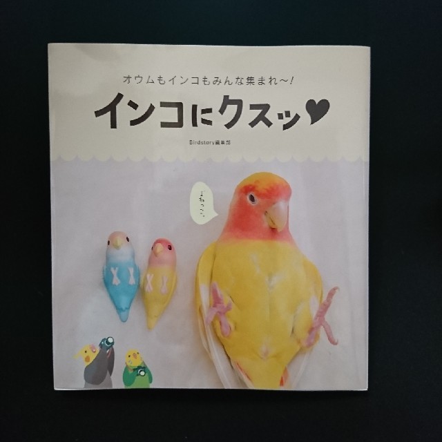 インコにクスッ オウムもインコもみんな集まれ～！ エンタメ/ホビーの本(趣味/スポーツ/実用)の商品写真