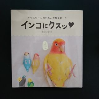 インコにクスッ オウムもインコもみんな集まれ～！(趣味/スポーツ/実用)