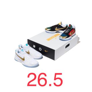 アンディフィーテッド(UNDEFEATED)のnike×undefeated kobe v protro 26.5(スニーカー)