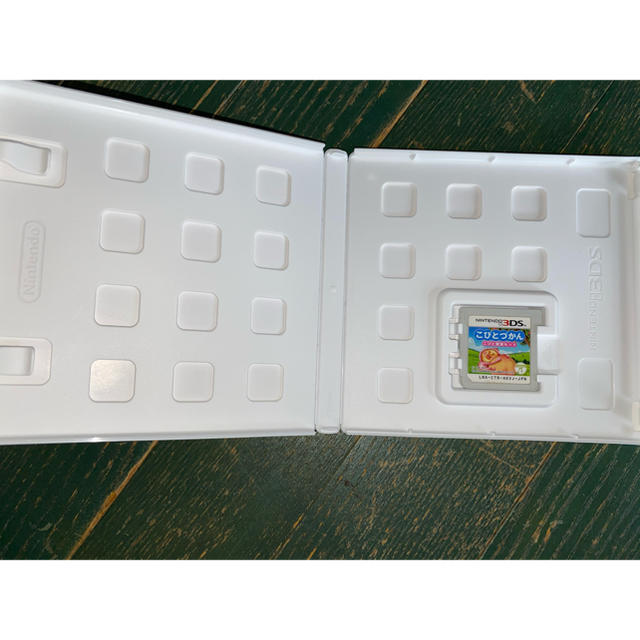 こびとづかん こびと観察セット 3DS エンタメ/ホビーのゲームソフト/ゲーム機本体(携帯用ゲームソフト)の商品写真