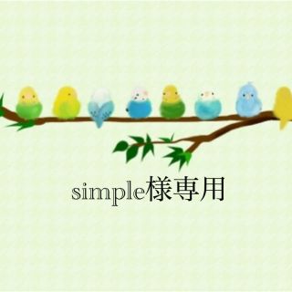 simple様専用　止まり木2個セット(鳥)