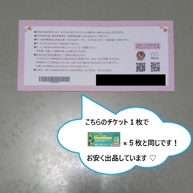 那須ハイランドパーク チケット ５人分