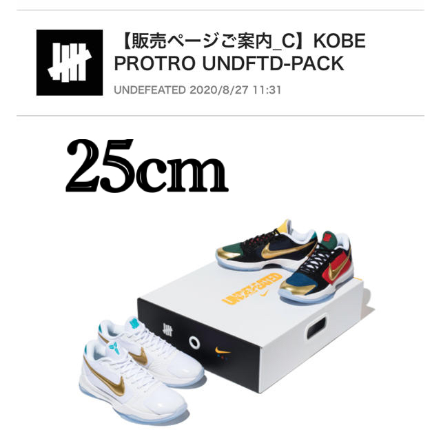 NIKE undefeated kobe V protro 25cm 正規品