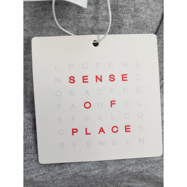 SENSE OF PLACE by URBAN RESEARCH(センスオブプレイスバイアーバンリサーチ)の新品 fruit of the room 椰子の木 Tシャツ サイズM グレー メンズのトップス(Tシャツ/カットソー(半袖/袖なし))の商品写真