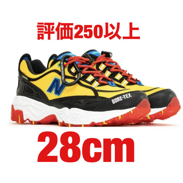 NEW BALANCE the Apartment ML801 GTX 28cmスニーカー