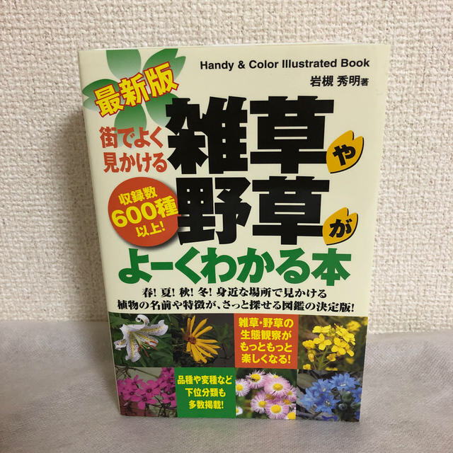 講談社(コウダンシャ)の街でよく見かける雑草や野草がよ－くわかる本 収録数６００種以上！　Ｈａｎｄｙ　＆ エンタメ/ホビーの本(趣味/スポーツ/実用)の商品写真