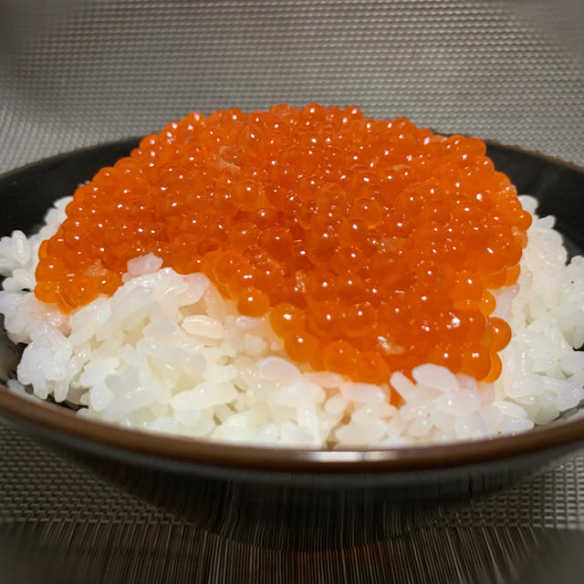 販売開始!獲れたて【漁師直送】カラフトマス 1.5〜2.0kg 販売開始!獲れたて【漁師直送】カラフトマス 1.5〜2.0kg