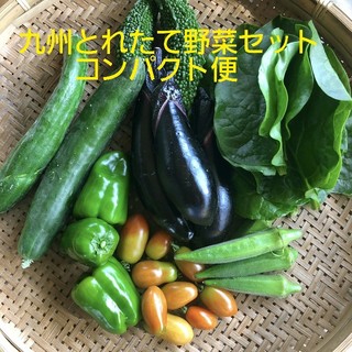 九州とれたて野菜セットコンパクト便(野菜)