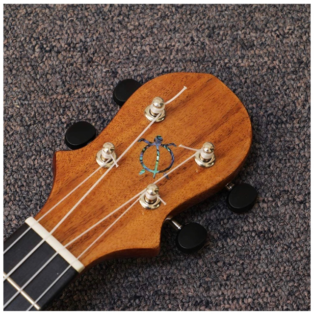 BIG ISLAND EUL-ACA-N/EB エレクトリックウクレレ-hybridautomotive.com
