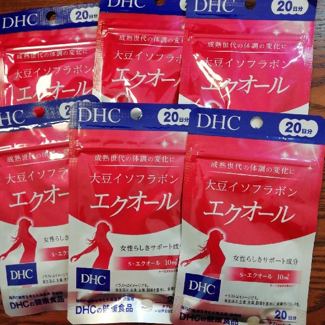 DHCエクオール120日分