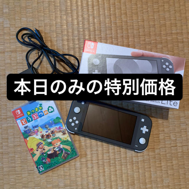 Nintendo switch Light グレー