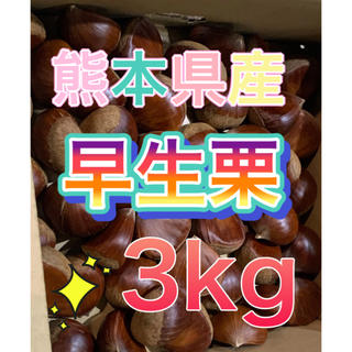 熊本県産早生栗3kg(野菜)