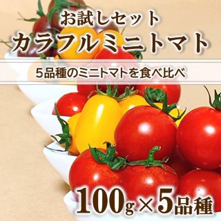 【お試しセット】カラフルミニトマト 100g×5品種 無農薬 高糖度 食べ比べ(野菜)