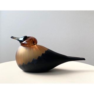 イッタラ(iittala)のPacific Waterfowl マットバージョン バード イッタラ オイバ(置物)