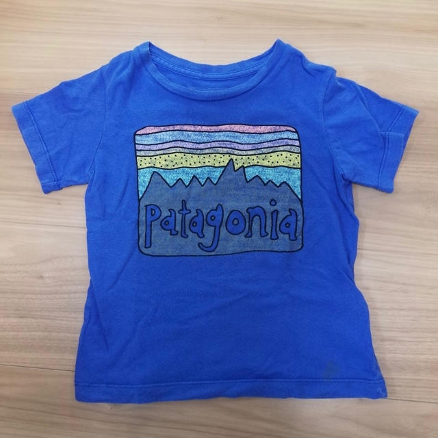 patagonia(パタゴニア)のPatagonia ロゴTシャツ（6） キッズ/ベビー/マタニティのキッズ服男の子用(90cm~)(Tシャツ/カットソー)の商品写真