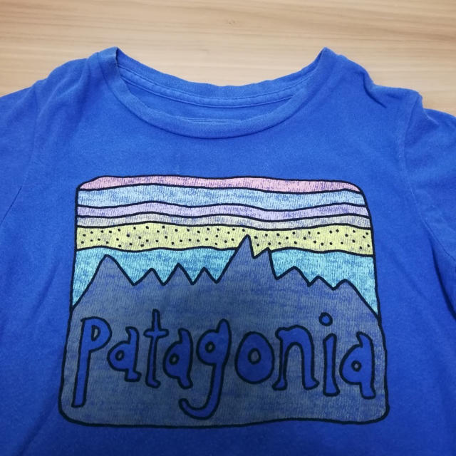 patagonia(パタゴニア)のPatagonia ロゴTシャツ（6） キッズ/ベビー/マタニティのキッズ服男の子用(90cm~)(Tシャツ/カットソー)の商品写真