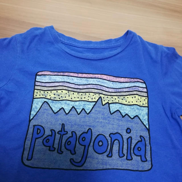 patagonia(パタゴニア)のPatagonia ロゴTシャツ（5） キッズ/ベビー/マタニティのキッズ服男の子用(90cm~)(Tシャツ/カットソー)の商品写真
