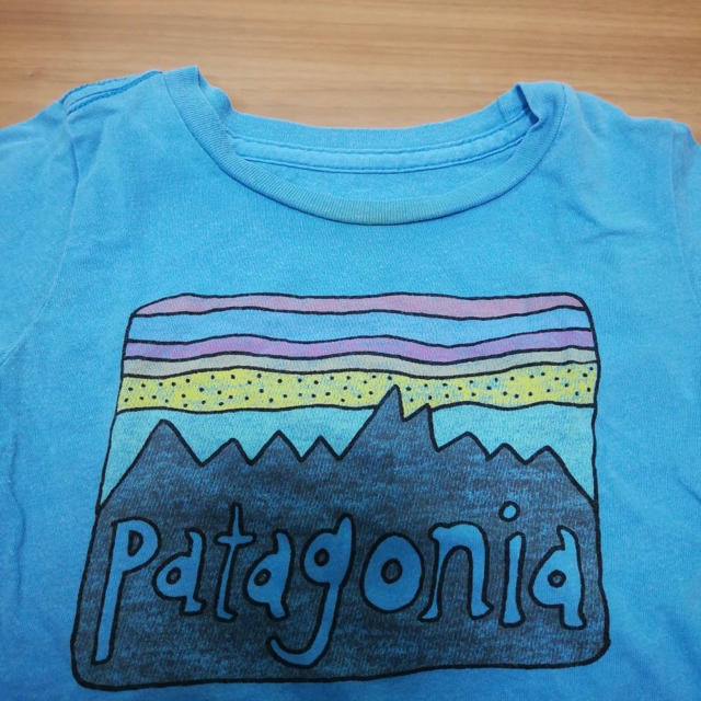 patagonia(パタゴニア)のPatagonia ロゴTシャツ（17） キッズ/ベビー/マタニティのベビー服(~85cm)(Ｔシャツ)の商品写真