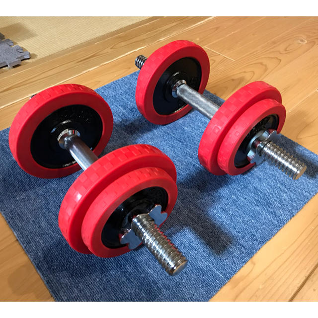 ダンベル ラバー プレート 10kg × 2 バーベル 筋トレ スポーツ/アウトドアのトレーニング/エクササイズ(トレーニング用品)の商品写真