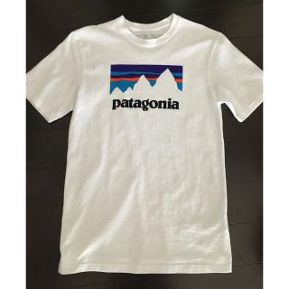 パタゴニア(patagonia)のハラシ様専用！Patagonia Tシャツ(Tシャツ/カットソー(半袖/袖なし))