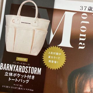 バンヤードストーム(BARNYARDSTORM)の10月号付録　バンヤードストーム&セブンイレブン限定ミニウォレットSet(トートバッグ)