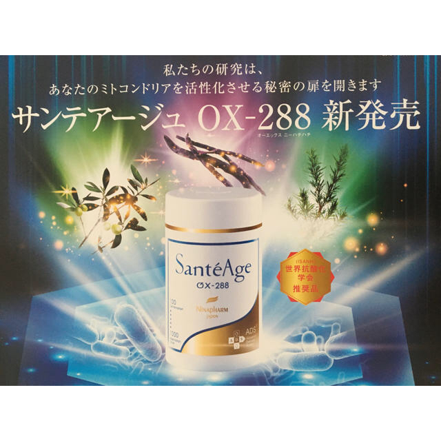 ニナファーム サンテアージュ 3本セット 新入荷 51.0%OFF hensensfreres.fr