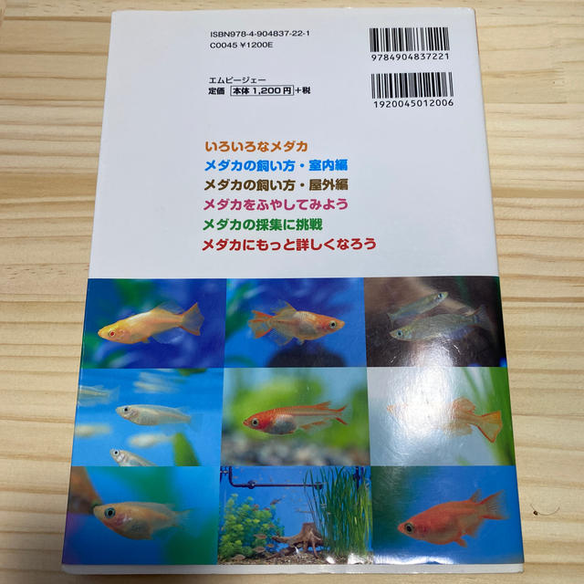 メダカのすべて メダカの飼い方・ふやし方 エンタメ/ホビーの本(住まい/暮らし/子育て)の商品写真