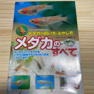 メダカのすべて メダカの飼い方・ふやし方(住まい/暮らし/子育て)