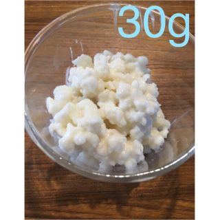 ミルクケフィアグレイン　30g milk kefir grains(ダイエット食品)