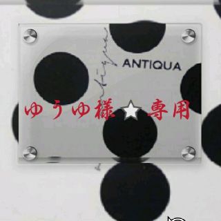 アンティカ(antiqua)のantiqua⭐ドライフラワーデザインT完売品(Tシャツ(半袖/袖なし))