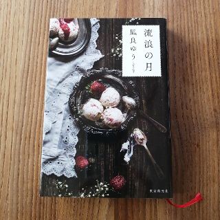 流浪の月(文学/小説)