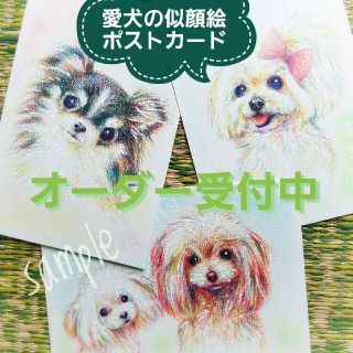 ★愛犬の似顔絵オーダー★手描きポストカード 色鉛筆画 ペット 直筆原画 アナログ(アート/写真)