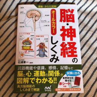 脳・神経 のしくみ (健康/医学)