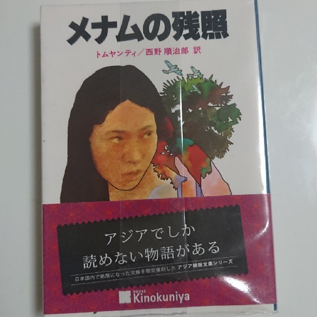 メナムの残照 エンタメ/ホビーの本(文学/小説)の商品写真