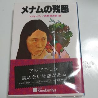 メナムの残照(文学/小説)