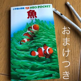 ショウガクカン(小学館)の小学館の図鑑　ネオポケット魚　チンアナゴの鉛筆つき(絵本/児童書)