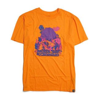 ザノースフェイス(THE NORTH FACE)のノースフェイス ★ XL HAZE グラフィック プリント Tシャツ 海外限定(Tシャツ/カットソー(半袖/袖なし))