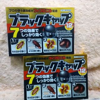 アースセイヤク(アース製薬)の【はれれ様専用】アース　ブラックキャップ　１２個入り×２箱(日用品/生活雑貨)