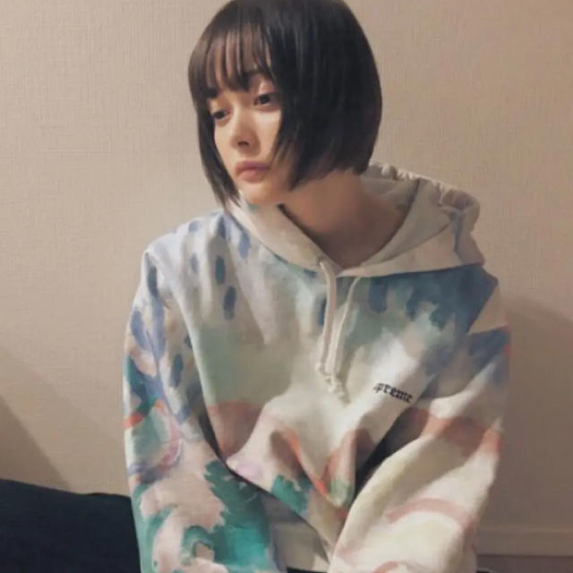 supreme 18ss Landscape Hooded Sweatshirt 全品送料無料 noxcapital.de