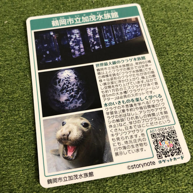 ロゲットカード　加茂水族館 エンタメ/ホビーのトレーディングカード(その他)の商品写真