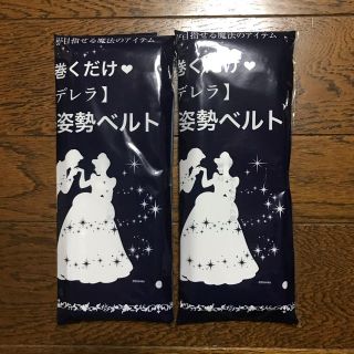 2WAY美姿勢ベルト(エクササイズ用品)