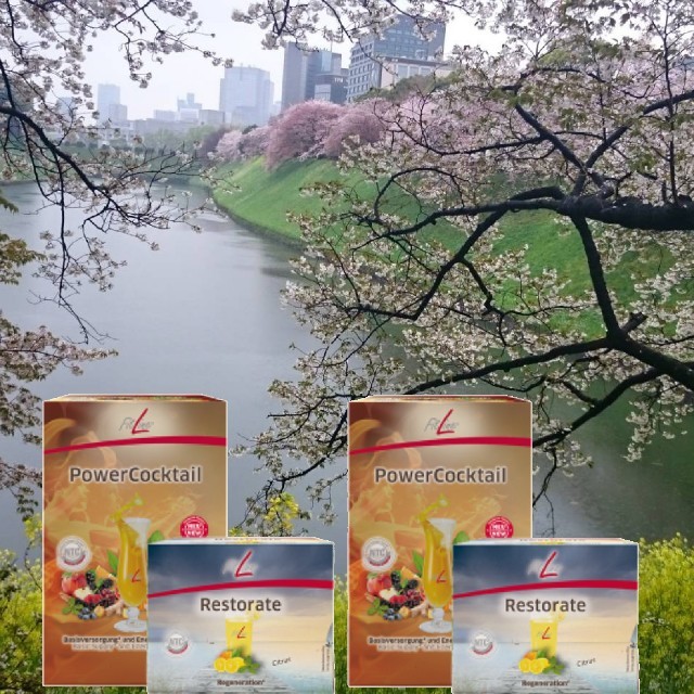 ドイツPM FITLINE オプティマルPセット 2セットの通販 by melanie_jp's ドイツPM FITLINE オプティマルPセット 2セットの通販 by melanie_jp's