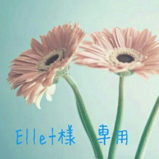 Ellet様専用(茶)