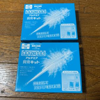 小学8年生 8・9月号付録 アルテミア 飼育キット 新品未開封 同じ物2個(その他)