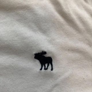 アバクロンビーアンドフィッチ(Abercrombie&Fitch)のアバクロメンズ白Tシャツ(Tシャツ/カットソー(半袖/袖なし))